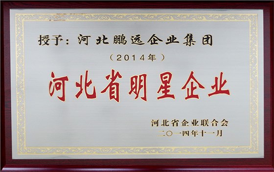 鹏远光电荣获2014年11月河北省明星企业