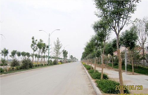 A6路路灯照明系统解决方案 A6路路灯照明系统解决方案